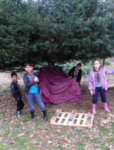 shelter building_2 2017