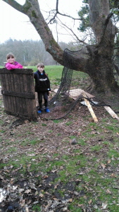 shelter building_4 2017