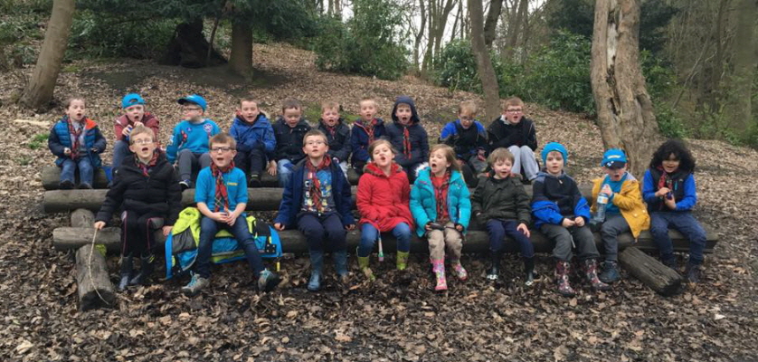 shelter building_5 2017