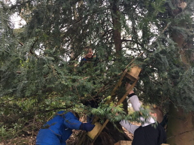 shelter building_b 2017